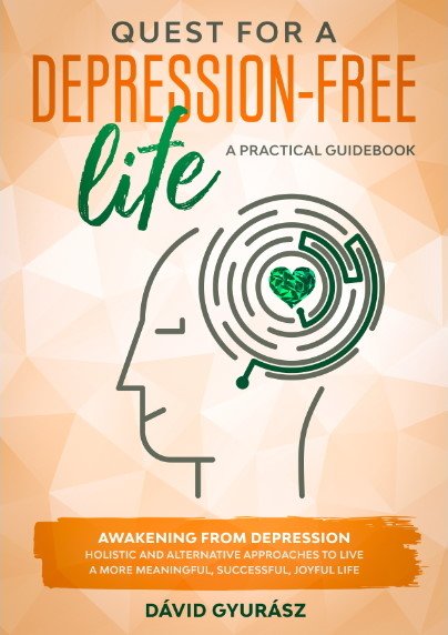 Help Heal Depression - Quest for a depression-free life book cover